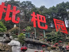 -枇杷园食为鲜火锅(南山店)