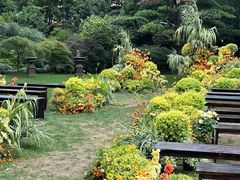 -怪咖·joker陈楠