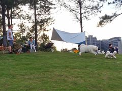 -美兰湖景区