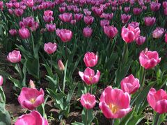 -长春公园(普阳街道)