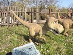 -上海长兴岛郊野公园