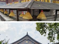 -西安大兴善寺