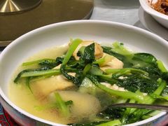 白灼广东菜心-最高台(亳州路店)