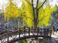 -北京市劳动人民文化宫(太庙)