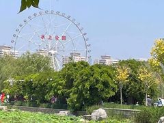 -天津水上公园