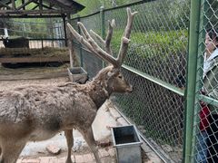 -青藏高原野生动物园