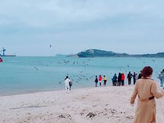 -海驴岛(荣成市)