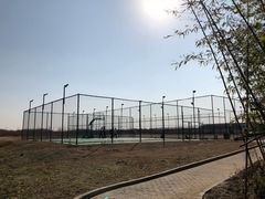 -上海崇明金茂凯悦酒店