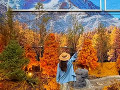 -首开·龙湖成都西宸天街