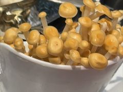 -千牛将·鲜牛肉火锅(开元路店)