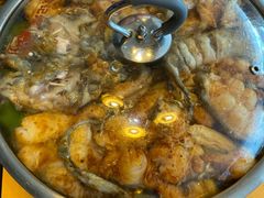 -黄记煌三汁焖锅(顺义华联店)