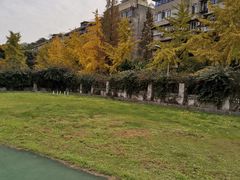 -四川大学(望江校区)