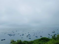 -枸杞岛