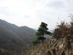 -秦岭风景区