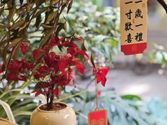 -禅悦素食