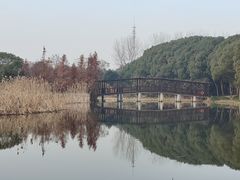 -同里国家湿地公园