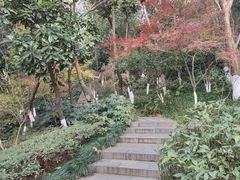 -杭州半山国家森林公园