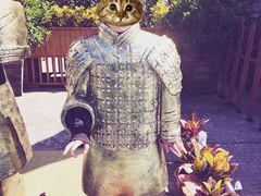 -厦门方特梦幻王国