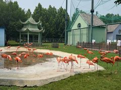 -秦皇岛野生动物园