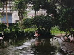 -九龙公园