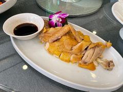 三黄鸡-碧丽宫大酒店(召稼楼店)