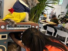 -小时光咖啡馆(北锣鼓巷店)