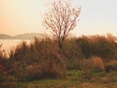 -张公山寨景区