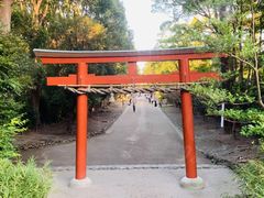 -鹤冈八幡宫