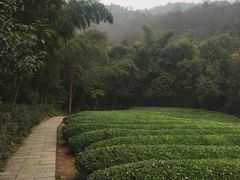 -敬亭山风景名胜区