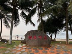 -万绿园