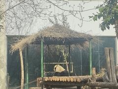 -五龙山野生动物王国