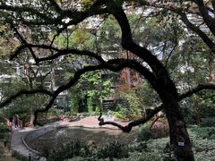 -香港大学