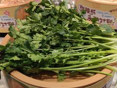 -龍歌自助小火锅(李沧丽达店)