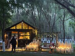 -长白岛森林公园