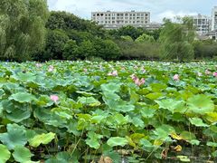 -石湖景区