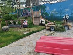 -鄂尔多斯野生动物园