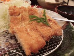 -矢场猪(名古屋站三井楼北馆店)