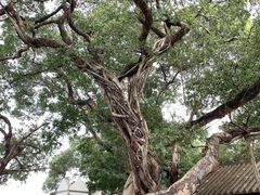 -黄埔军校旧址纪念馆