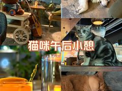 -咖法森林·咖啡  酒吧(天河店)