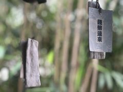-海边的猫和咖啡馆