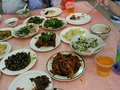 -南汇老顾农家乐采摘大团水蜜桃采摘店