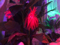 -水晶之星洗浴温泉汗蒸