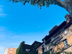 -星巴克臻选(思南公馆店)