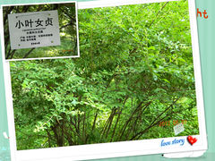 -紫竹院公园冰场