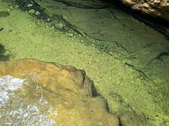 -亚婆田·白水寨生态旅游度假区