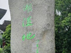 -溱湖国家湿地公园