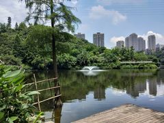 -重庆彩云湖湿地公园