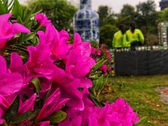 -八大山人梅湖景区