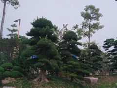 -大雁山风景区