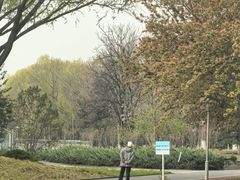 -望湖公园